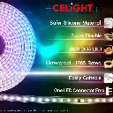 Untitled design (34).webp