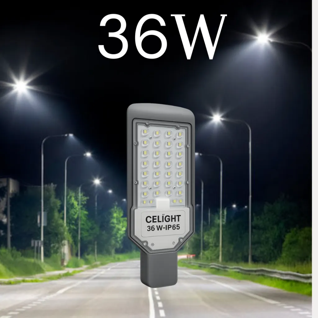 Your paragraph text (15).webp