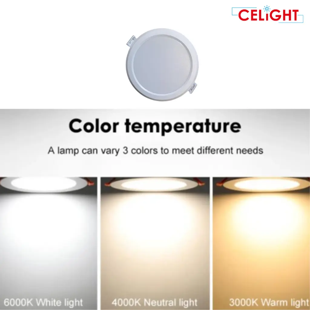 Complete Packaging (1).webp