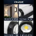 Your paragraph text (21).webp