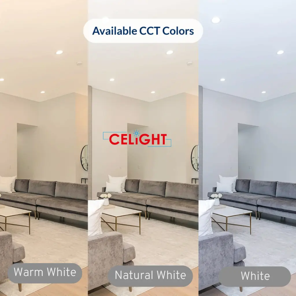 Complete Packaging (3).webp